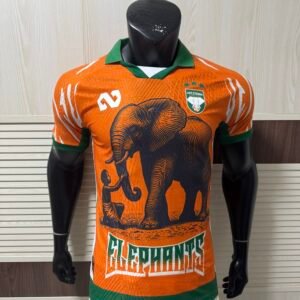 Ivory Coast National Football Team 2026/27 Home Jersey “Elephants” – Men’s Puma Orange Official Kit