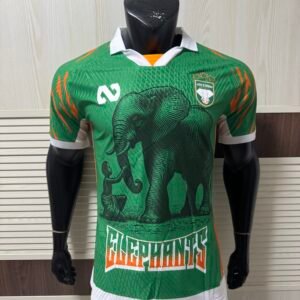 Ivory Coast National Football Team 2025/26 Special Edition Soccer Jersey – Men’s High-Performance Football Shirt
