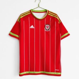 2015/16 Wales national football team Home Jersey #5 A10